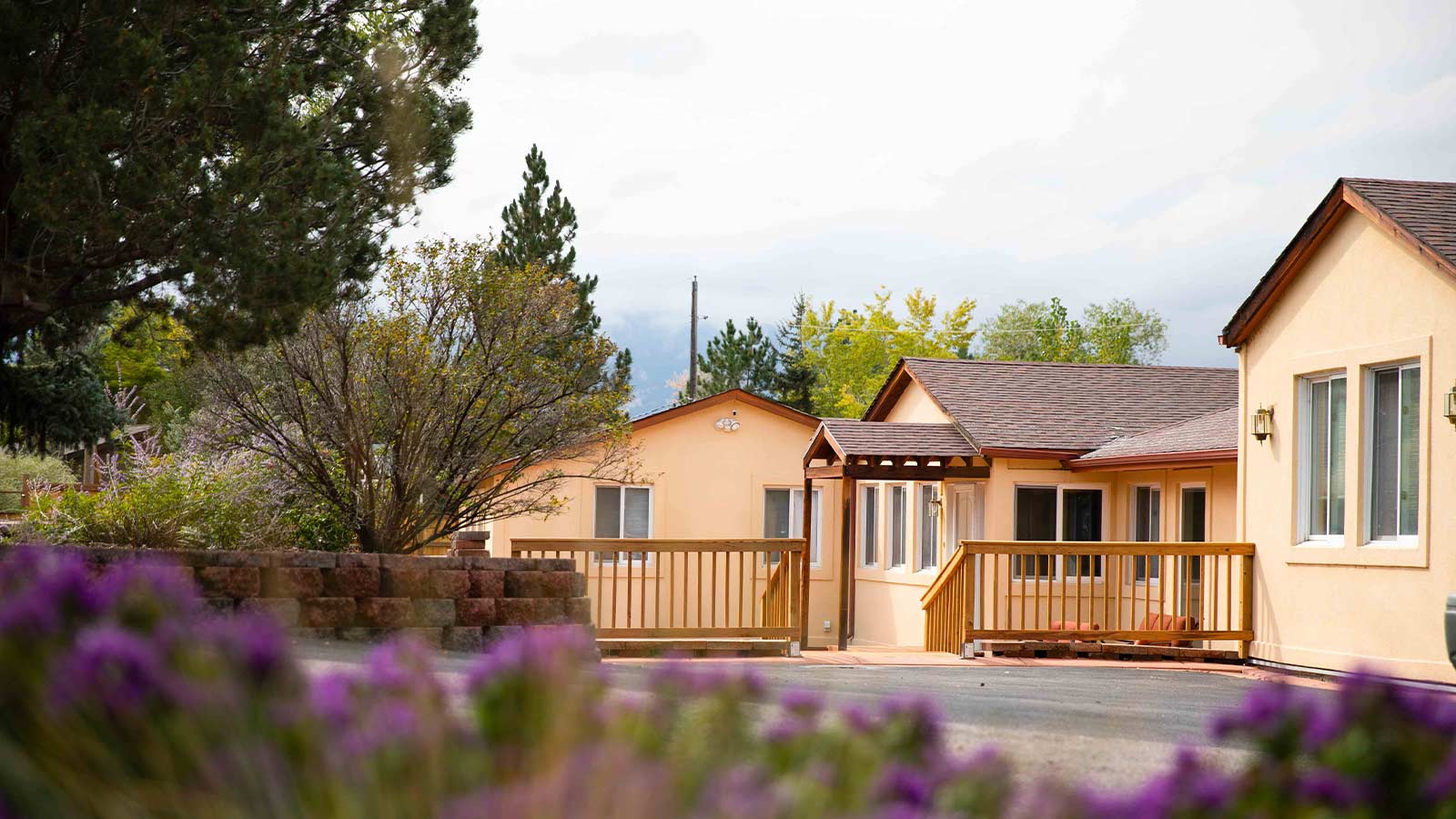 A picturesque view of a house with a welcoming wooden deck, surrounded by vibrant lavender flowers and greenery.