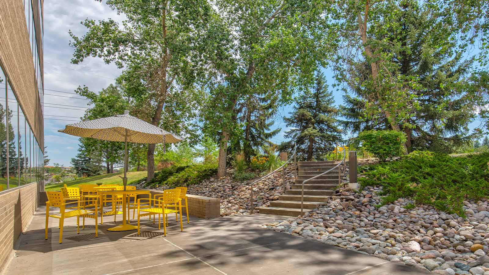 Outdoor patio with yellow chairs and a large umbrella near green trees.