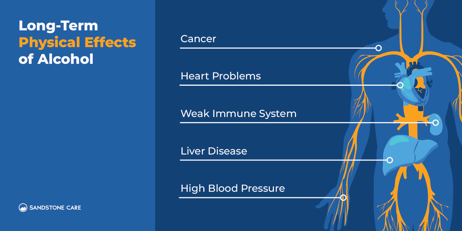 Long Term Physical Effects of Alcohol Inline Image