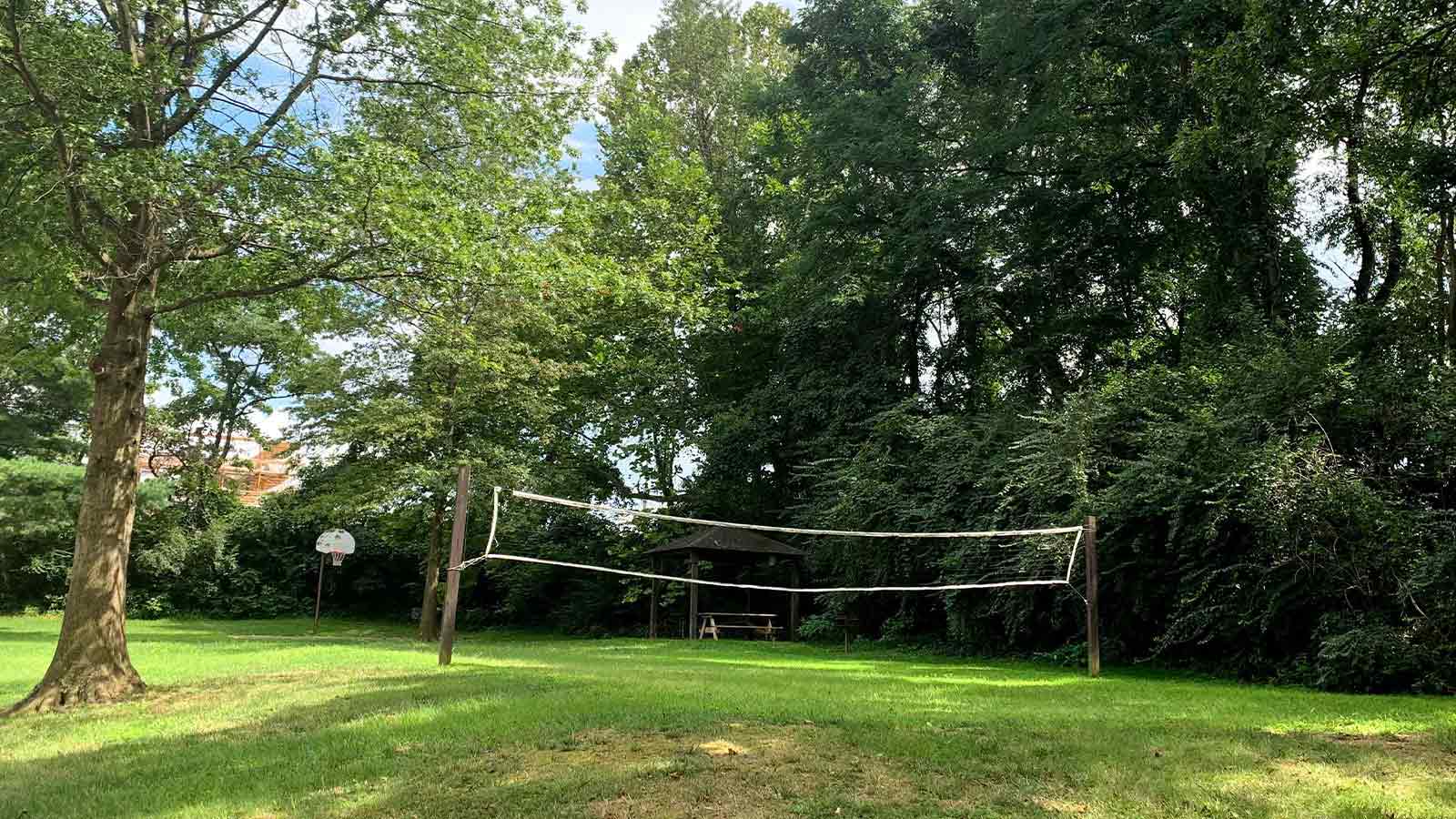 A serene outdoor area with a volleyball net set up among tall trees and a lush lawn.