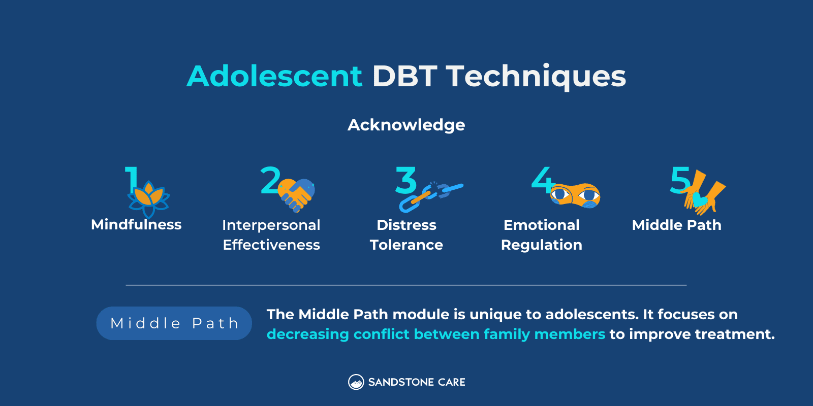 Adolescent DBT Techniques Infographic