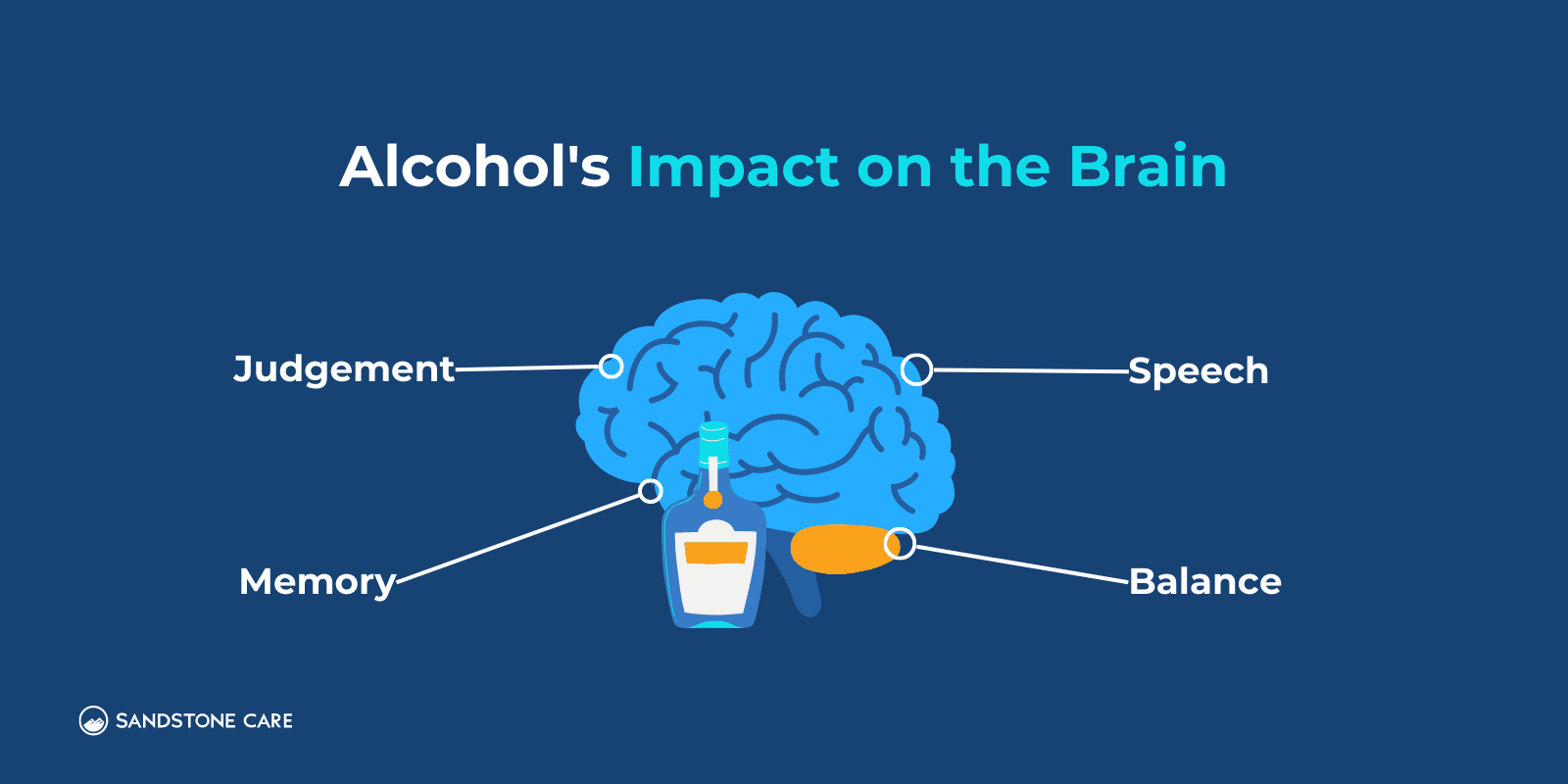 A visual image representing alcohol's impact on the brain by highlighting different areas of the brain and the functions that are impacted by alcohol consumption. The image features digital illustrations of the brain, with different sections labeled to indicate their corresponding functions and the effects of alcohol on each section.