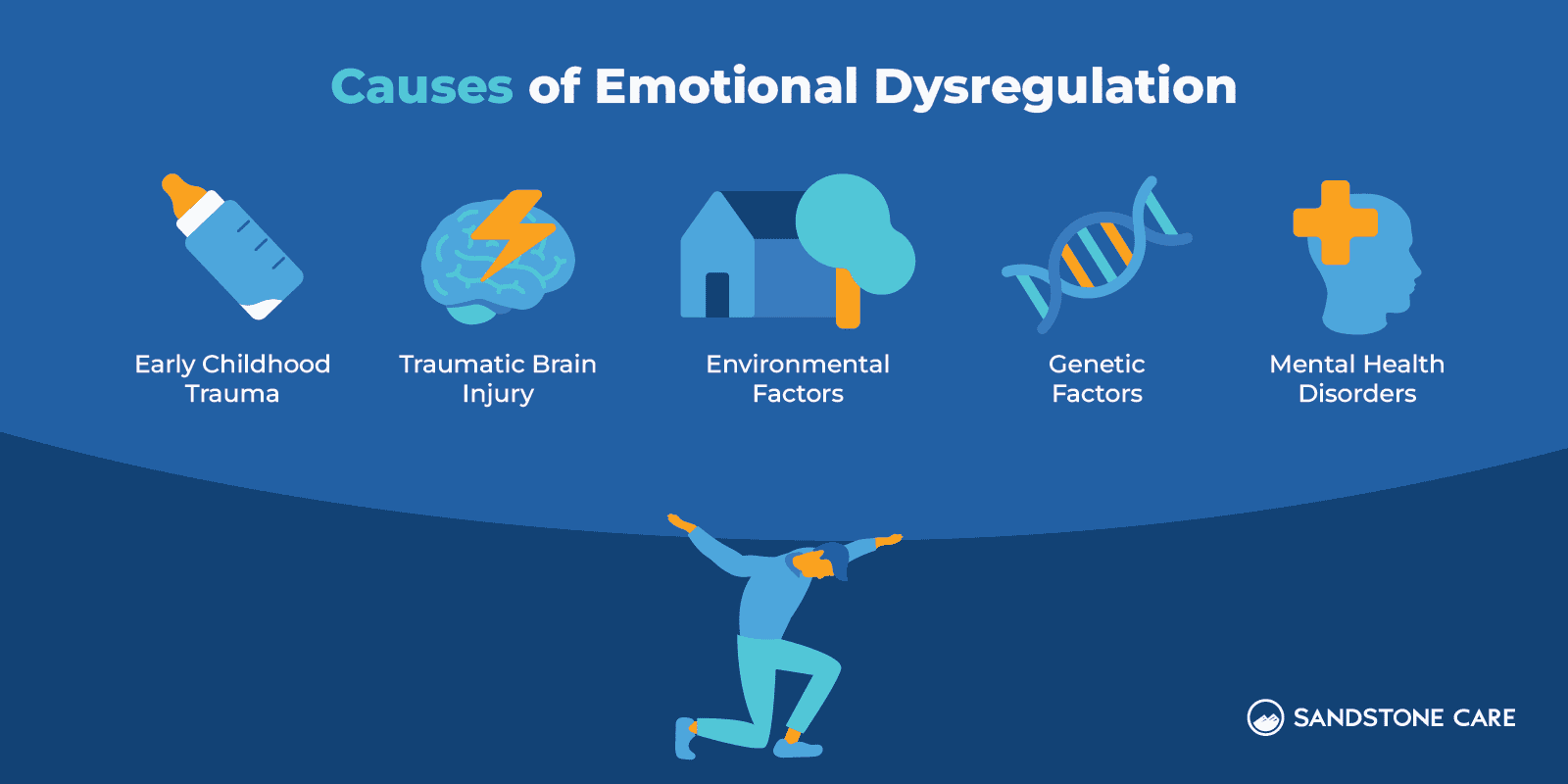 Causes of Emotional Dysregulation Inline Image