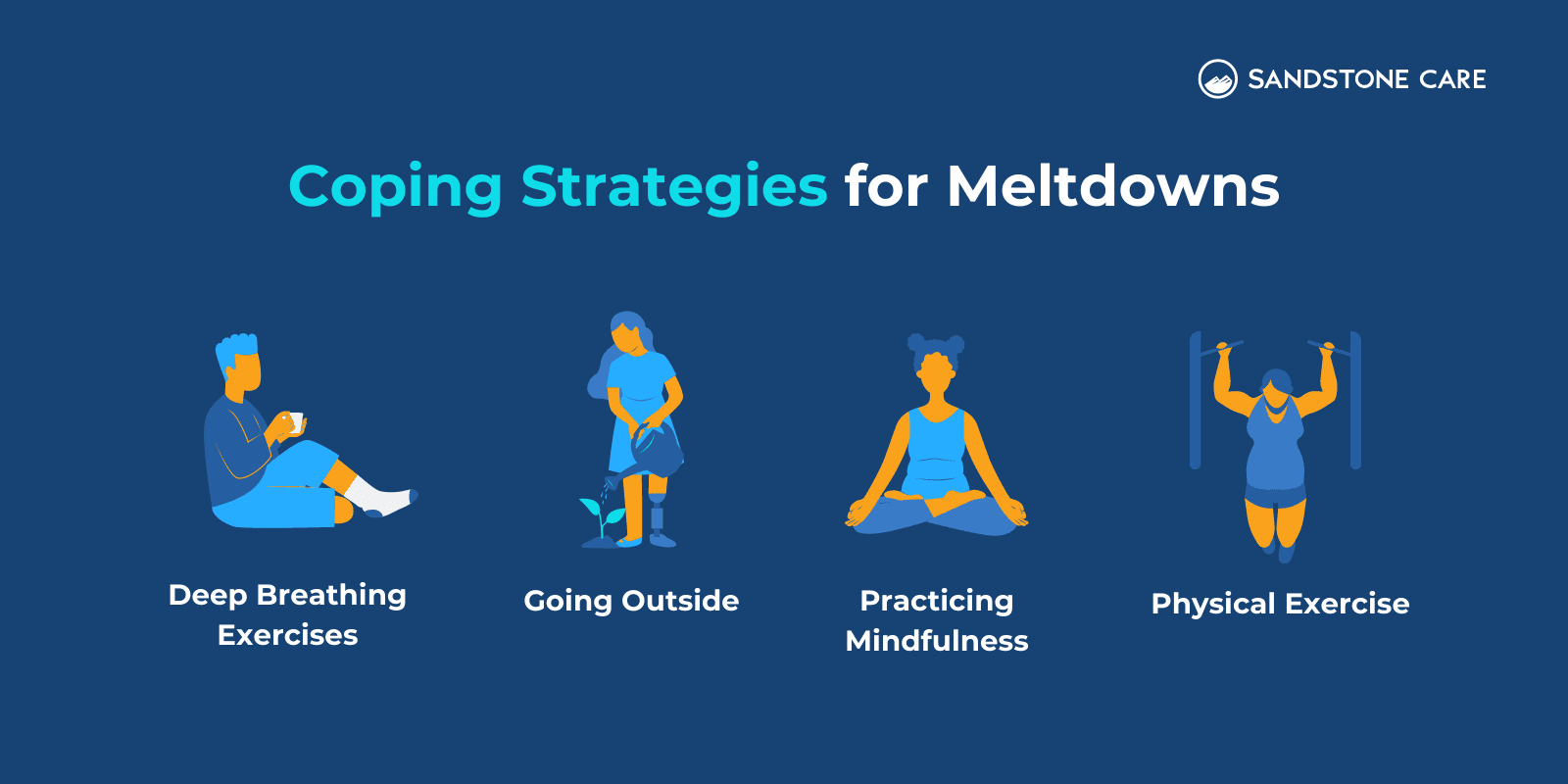 Coping strategies for meltdowns infographic