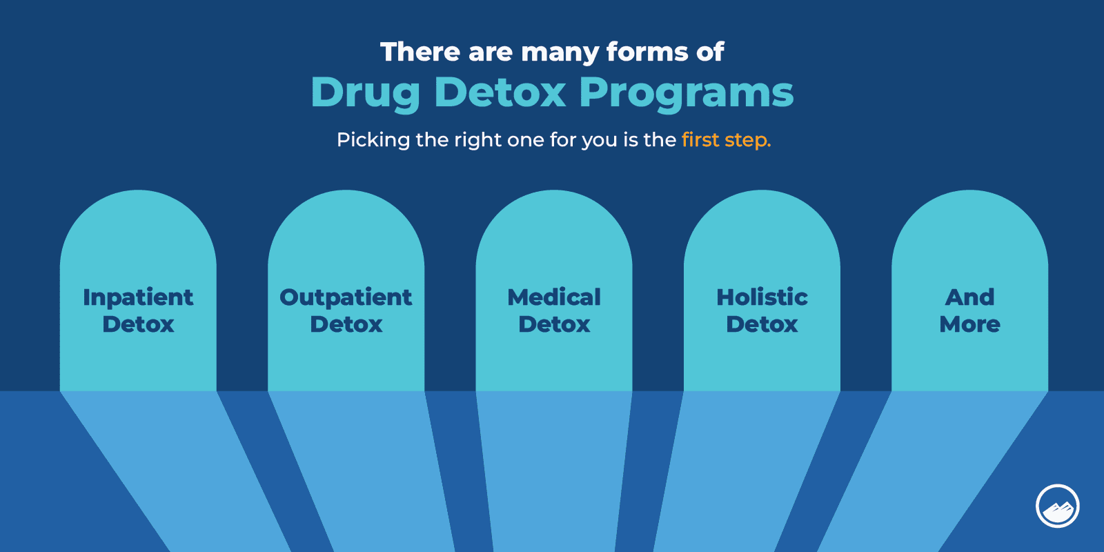 Drug Detox Graphics_02 Forms of Drug Detox Programs Inline Image