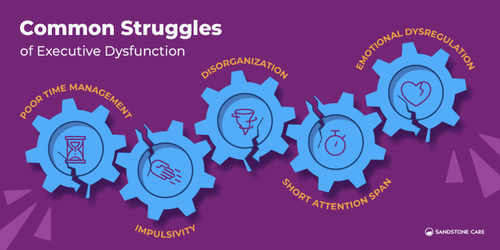 Mastering Executive Function: What It Is & How to Improve