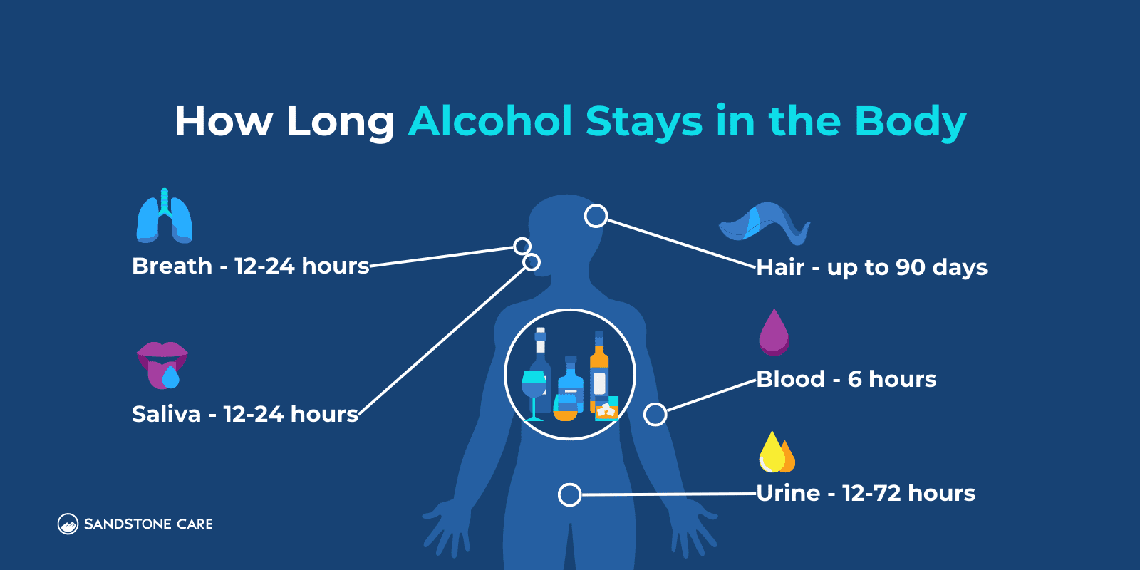 How does alcohol affect the body after the age of 40?