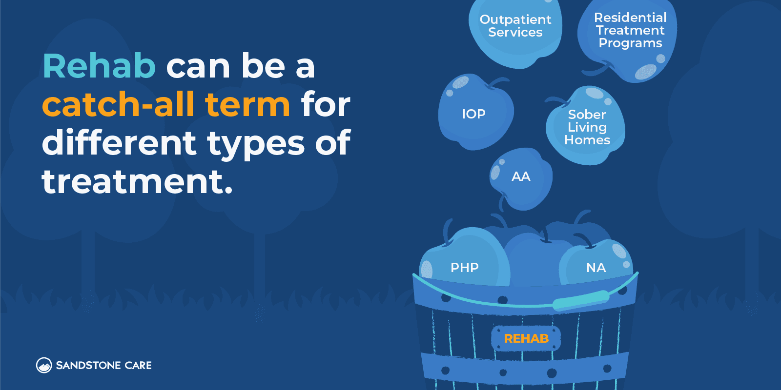 IOP Graphics 09 Rehab Can Be a Catch-All Term for Different Types of Treatment Inline Image