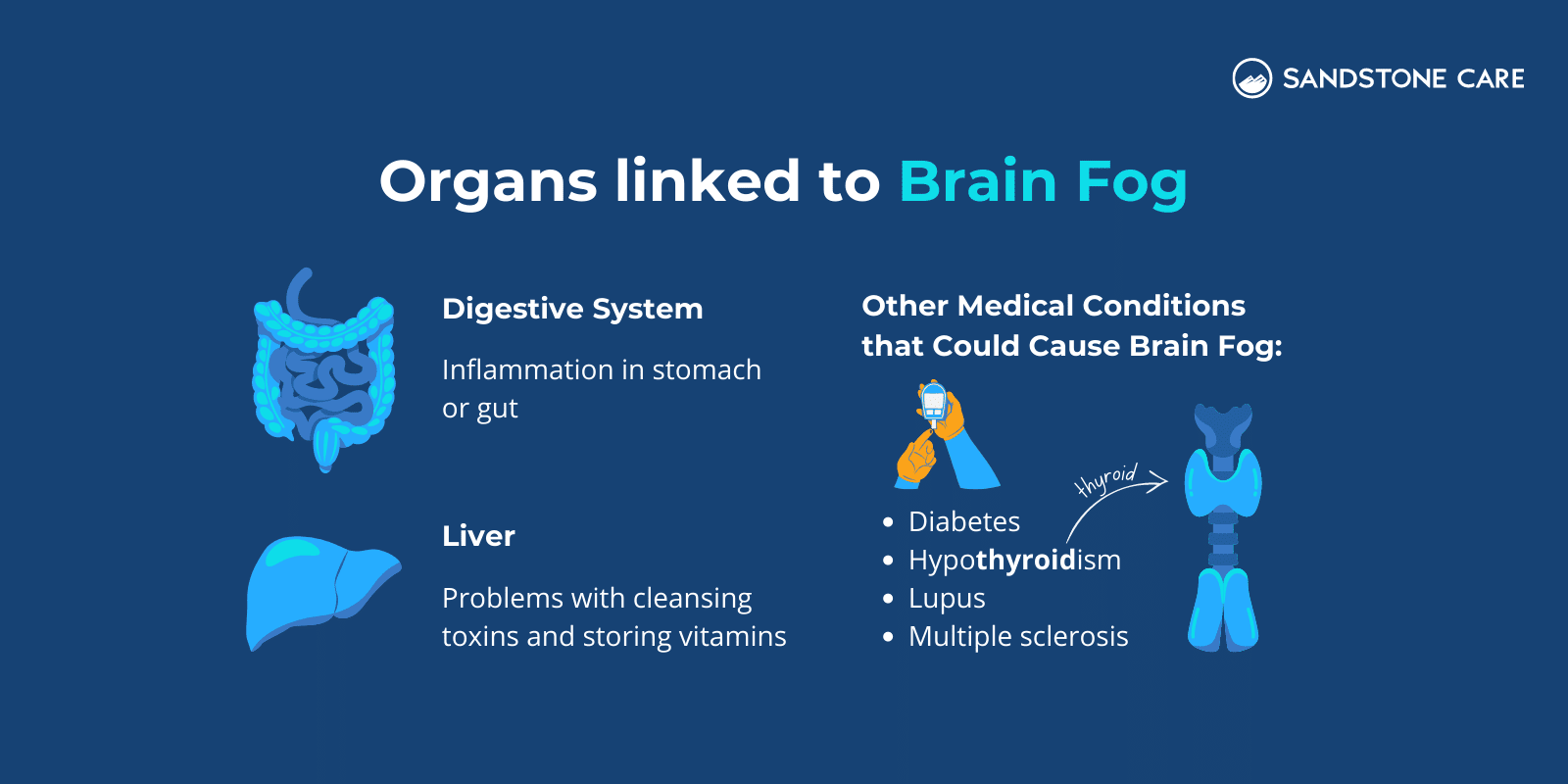 60% of people find concentration difficult around their period and suffer brain  fog.