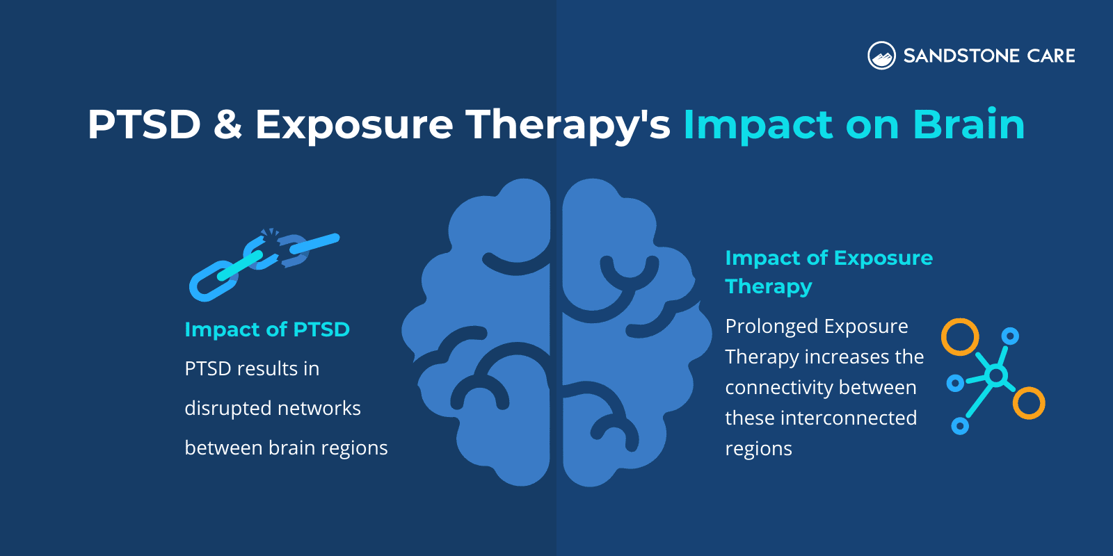 "PTSD And Exposure Therapy's Impact On Brain" written above the brain graphic in the center while impact of PTSD is illustrated on the left and impact of exposure therapy is illustrated on the right of the brain