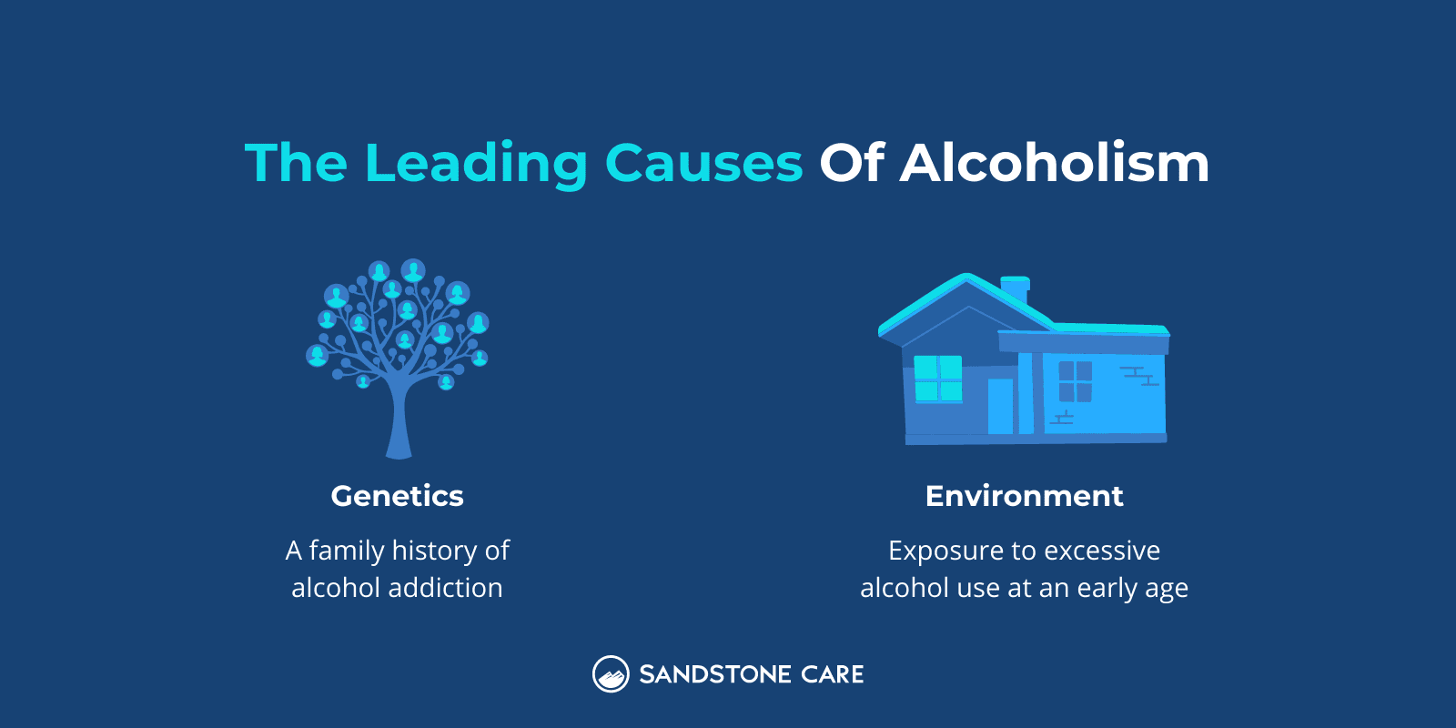 The Leading Causes Of Alcoholism; genetics and environment explained below each graphical representation
