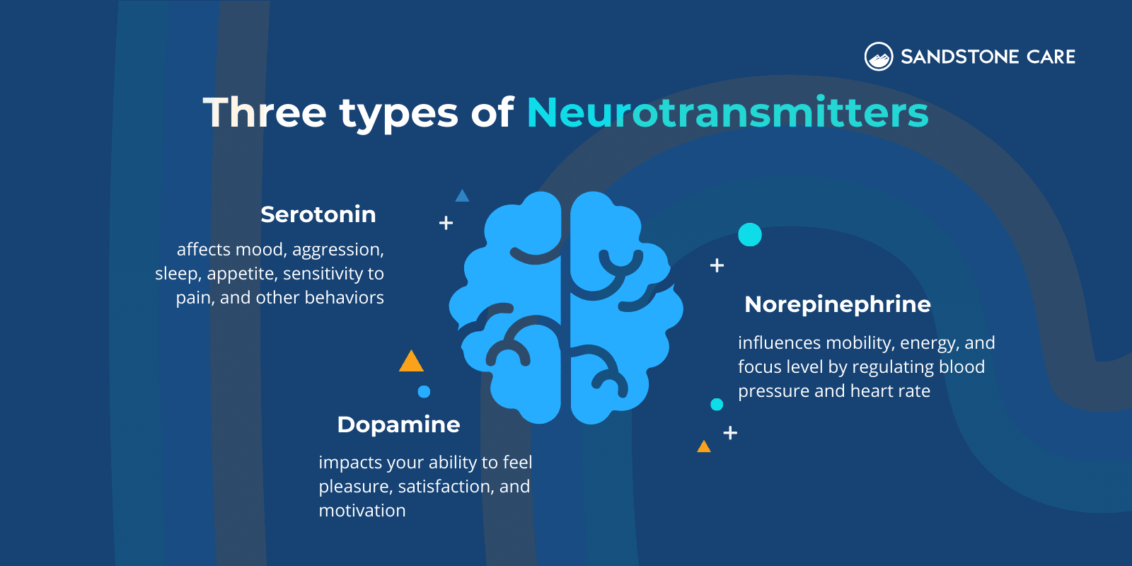 "Three Types Of Neurotransmitters" and "Serotonin, Dopamine, Norepinephrine" are written and explained around a digital graphic of a brain
