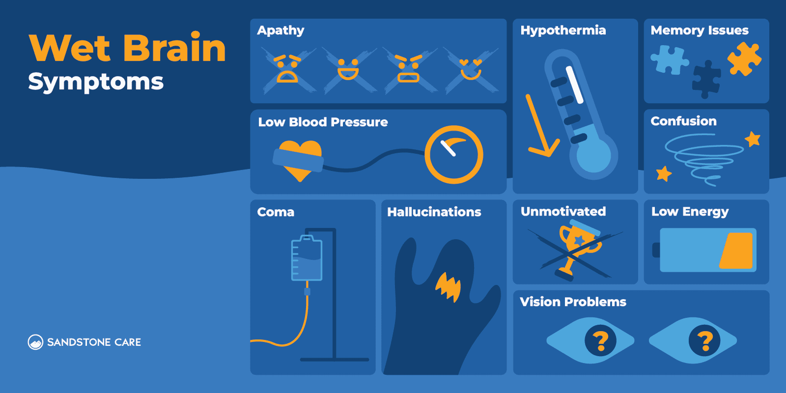 Wet Brain Graphics_03 Wet Brain Symptoms Inline Image