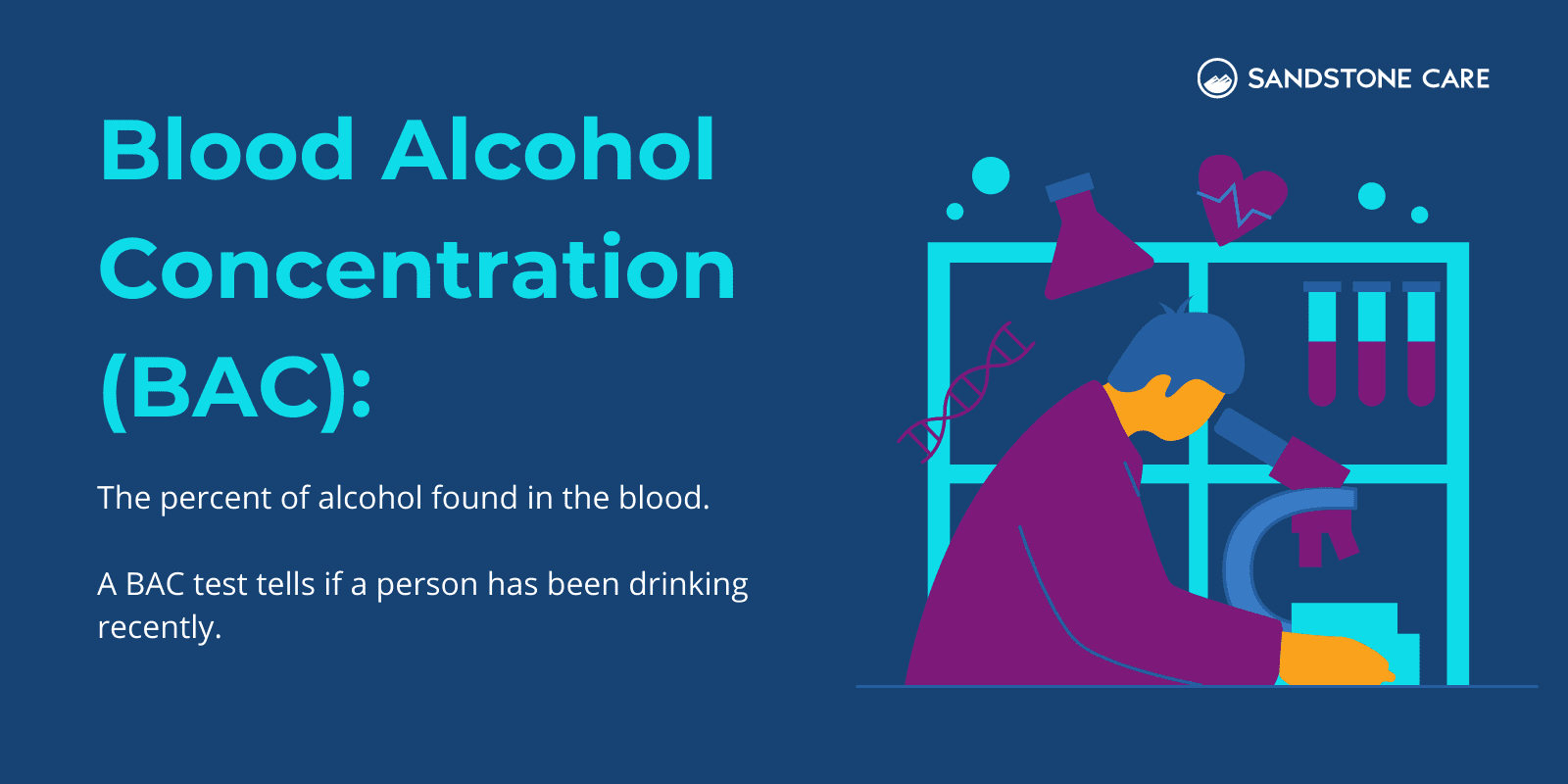 "Blood Alcohol Concentration (BAC): The percent of alcohol found in the blood. A BAC test teslls if a person has been drinking recently" text written next to a lab researcher looking at blood