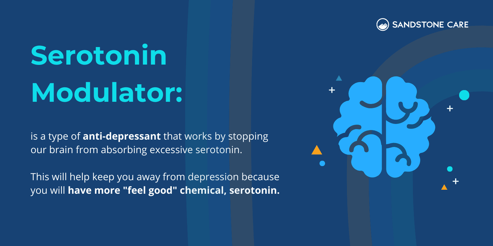 "Serotonin Modulator:" and its definition written out next to a brain graphic surrounded by chemicals