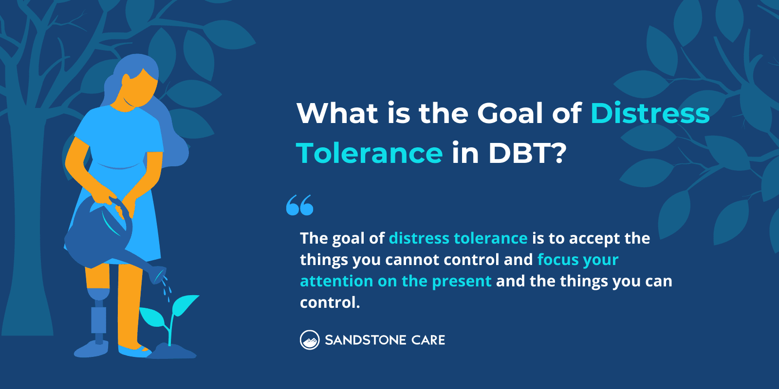 What is the goal of DBT distress tolerance infographic
