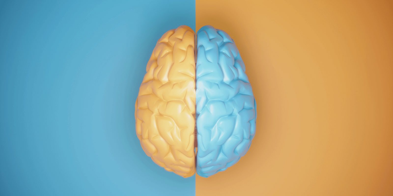 A 3D constructed brain, yellow colored left and blue colored right each on blue and yellow background