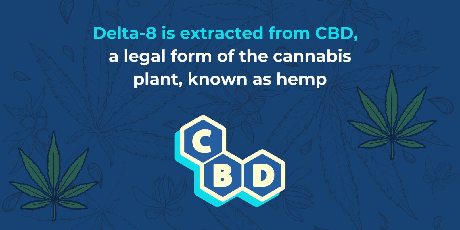 Delta 8 & CBD