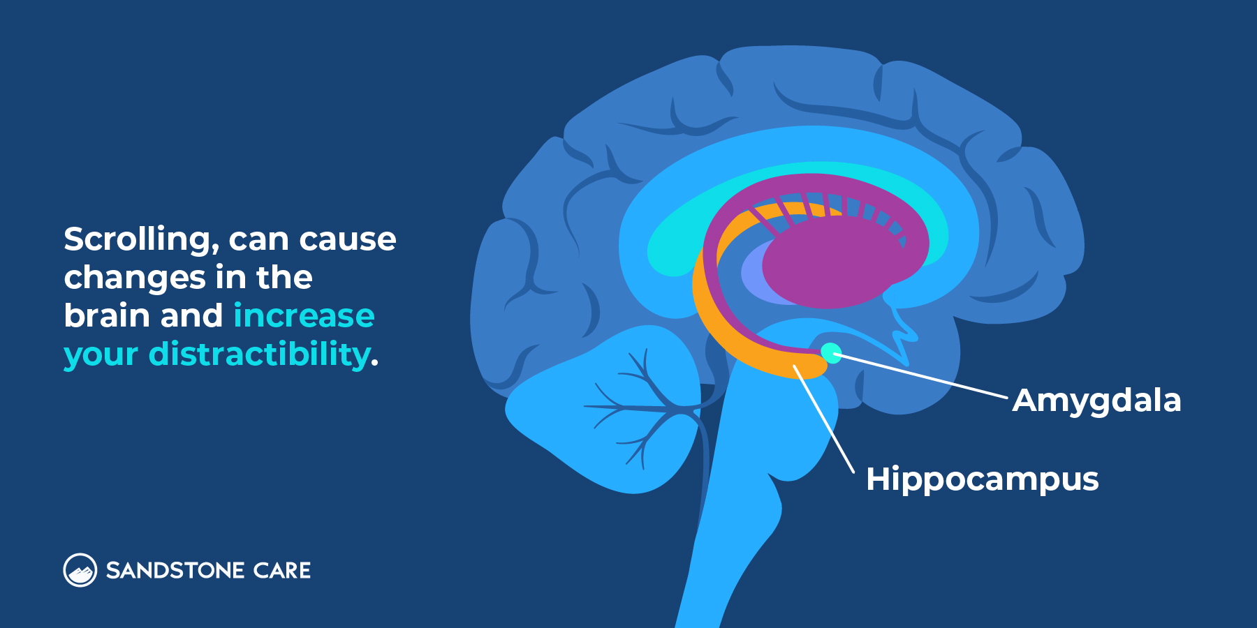 Scrolling can cause changes in the brain and increase your distractibility.