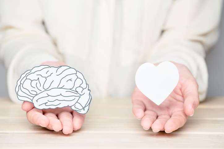 Female hands holding paper cut brain and soul. Conflict between emotions and rational thinking. Balance and equilibrium between mind and heart concept