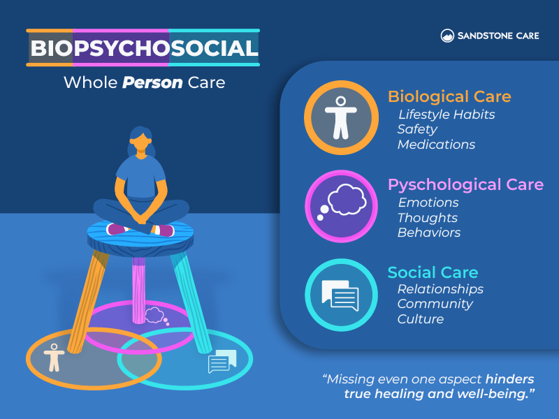 biopsychosocial care