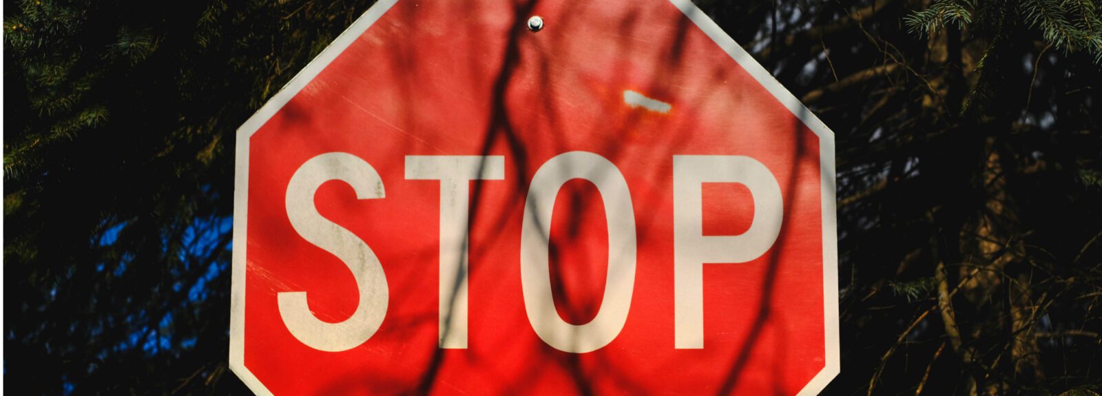 A stop sign with tree shadows.