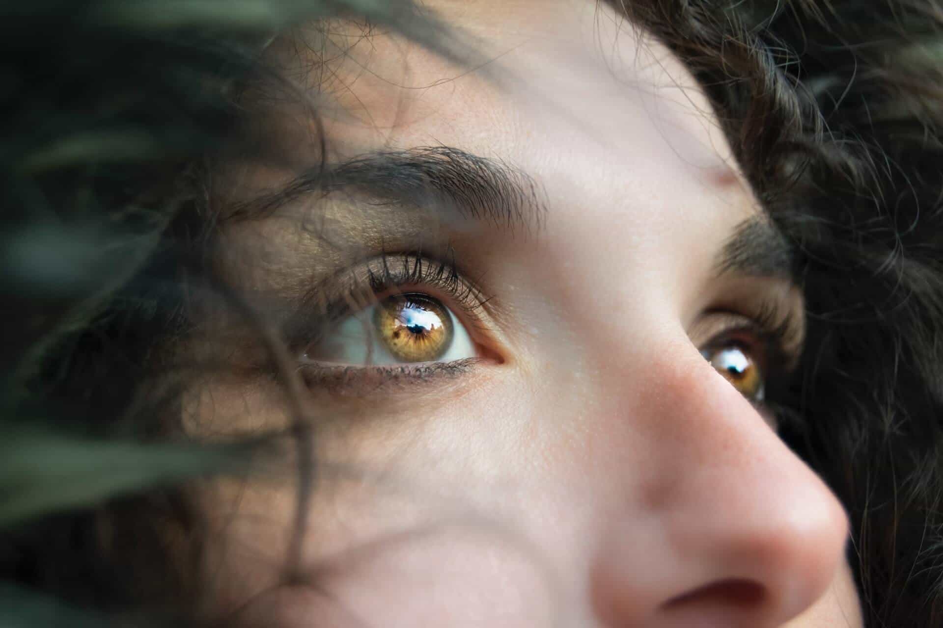 Types of Trauma Therapy: 8 Things You Need To Know About Trauma Therapy