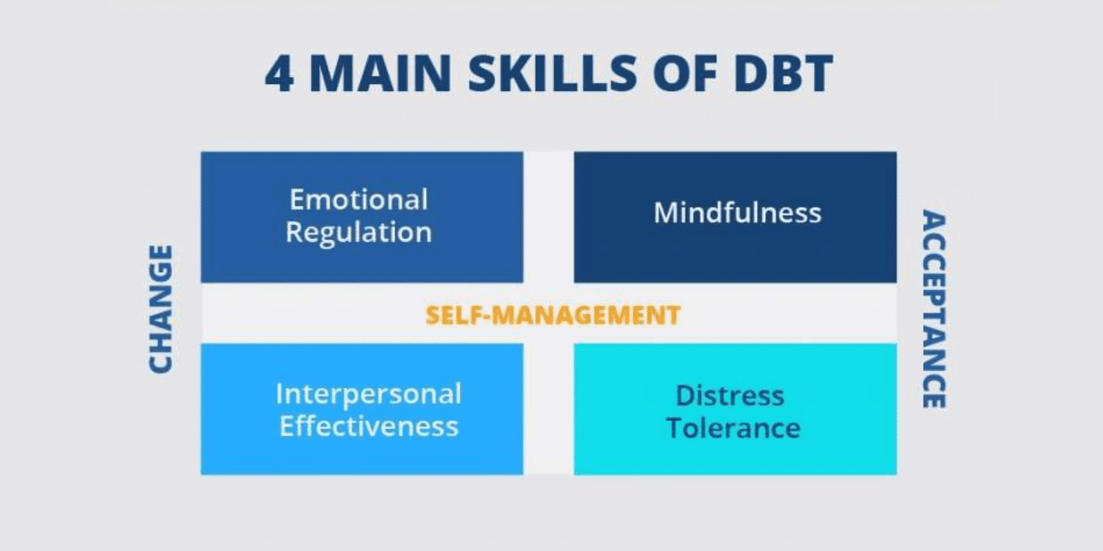 4 main skills of DBT laid out in a visually appealing way