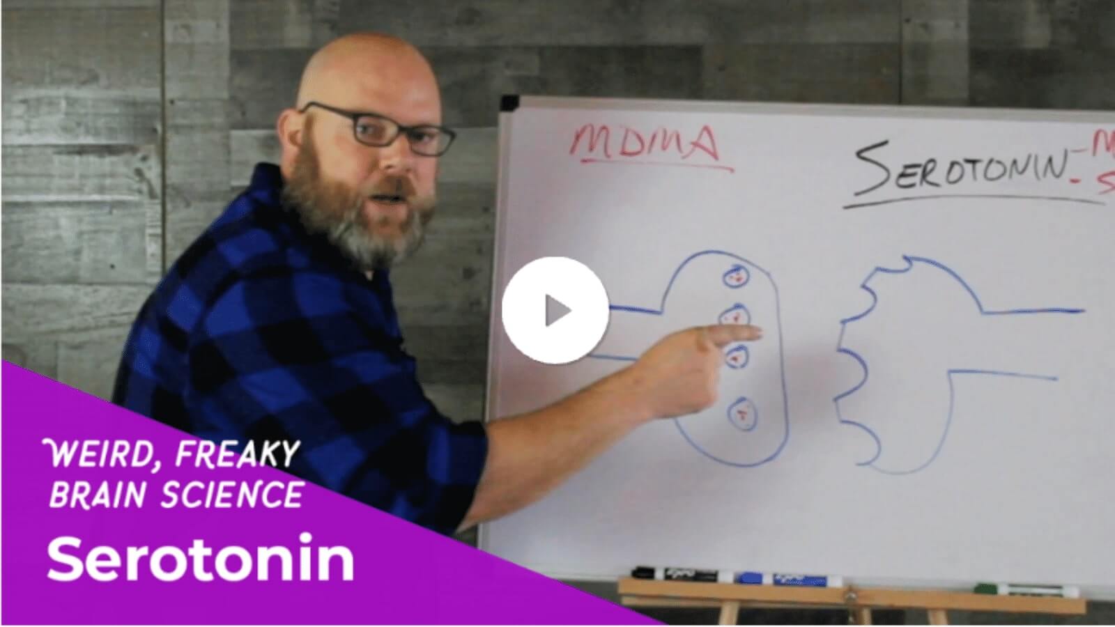 A therapist explaining Serotonin on a whiteboard