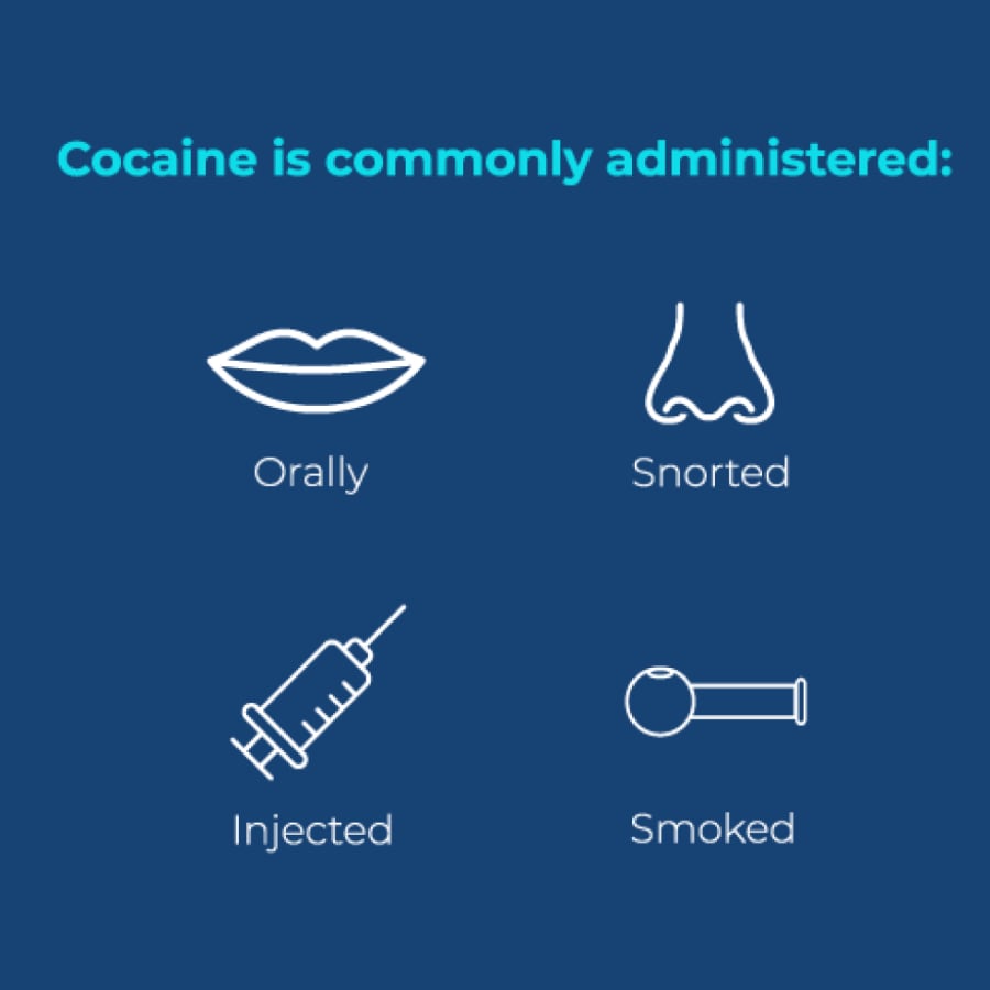Ways to use cocaine infographic