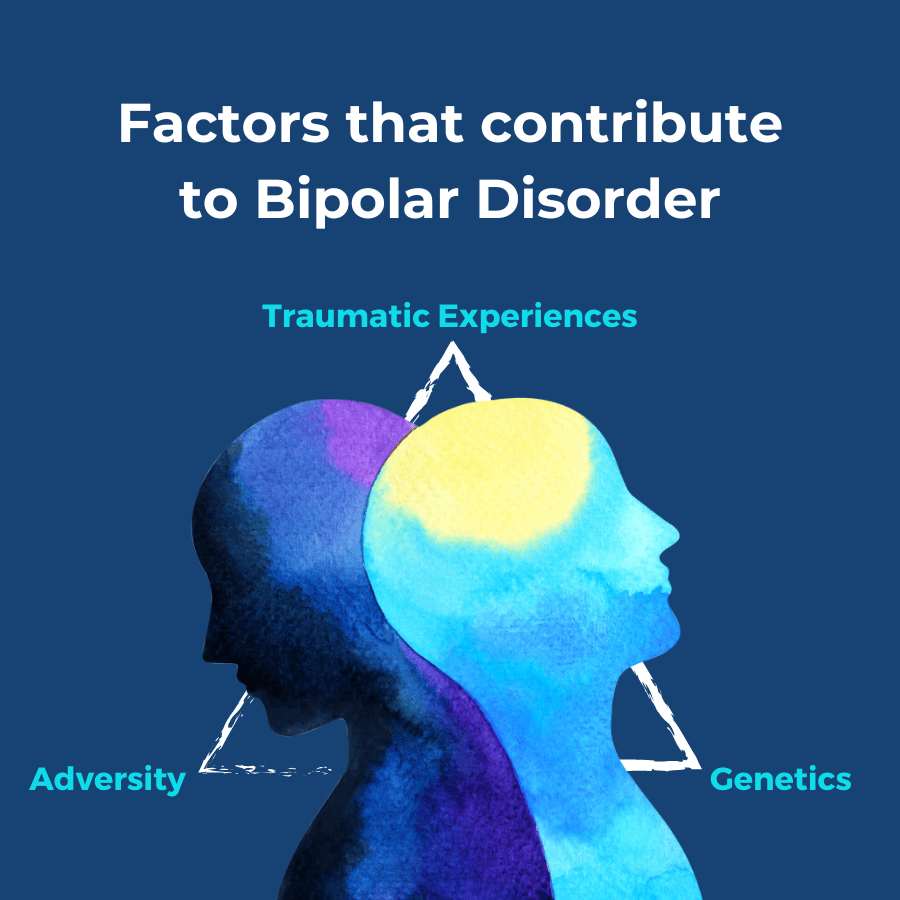 Factors that contribute to Bipolar Disorder