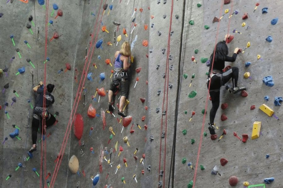 3 Adults doing rock climbing