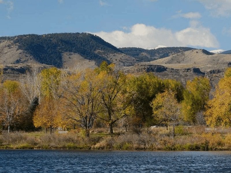 View of Wheat Ridge