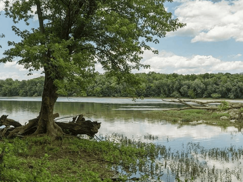 Potomac river view