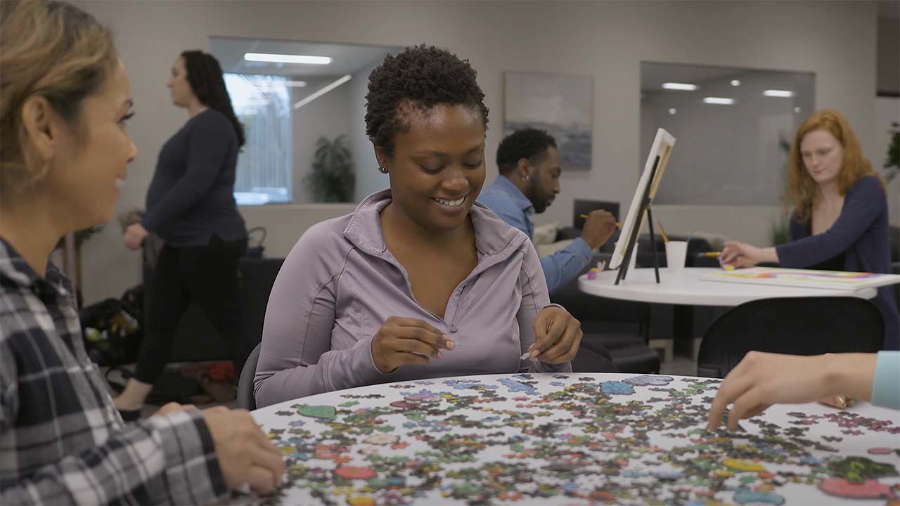 Virginia Detox Puzzle Group Video Thumbnail