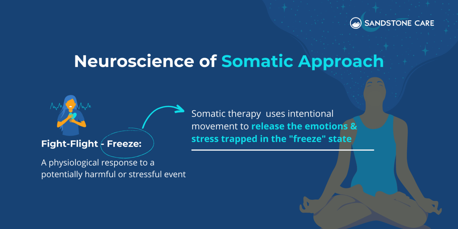 Somatic Therapy | Understanding the Mind-Body Connection