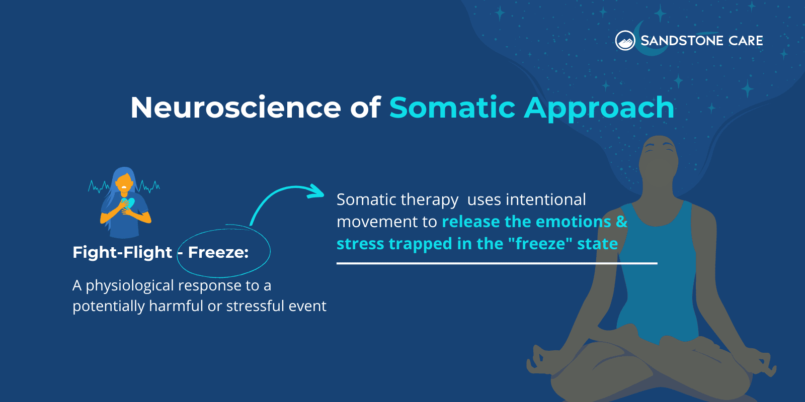 Neuroscience of Somatic Approach Infographic