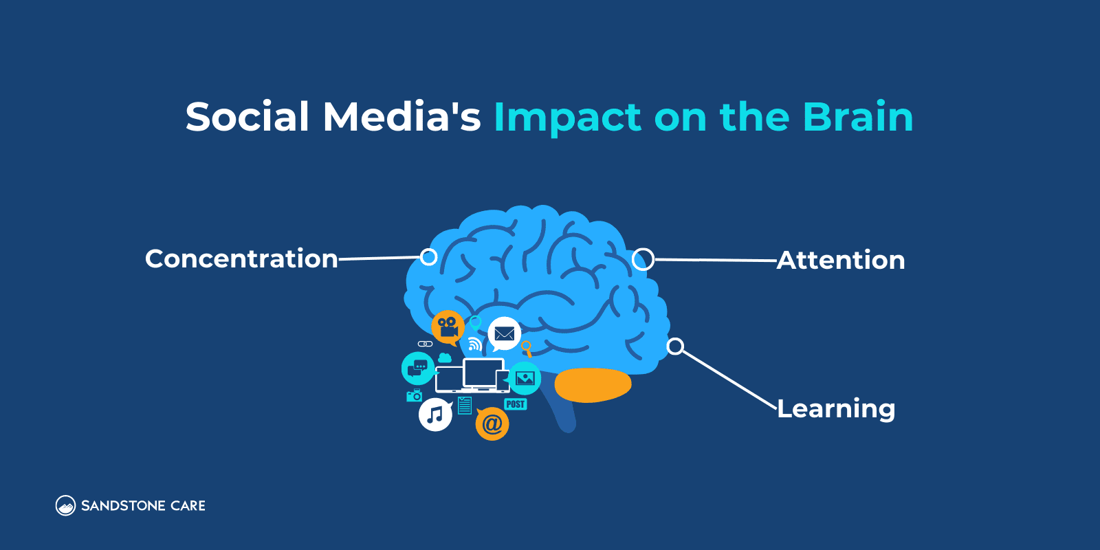 Social Media's Impact on the Brain illustrated by highlighting the areas of brain graphic with different brain functions that are impacted by social media