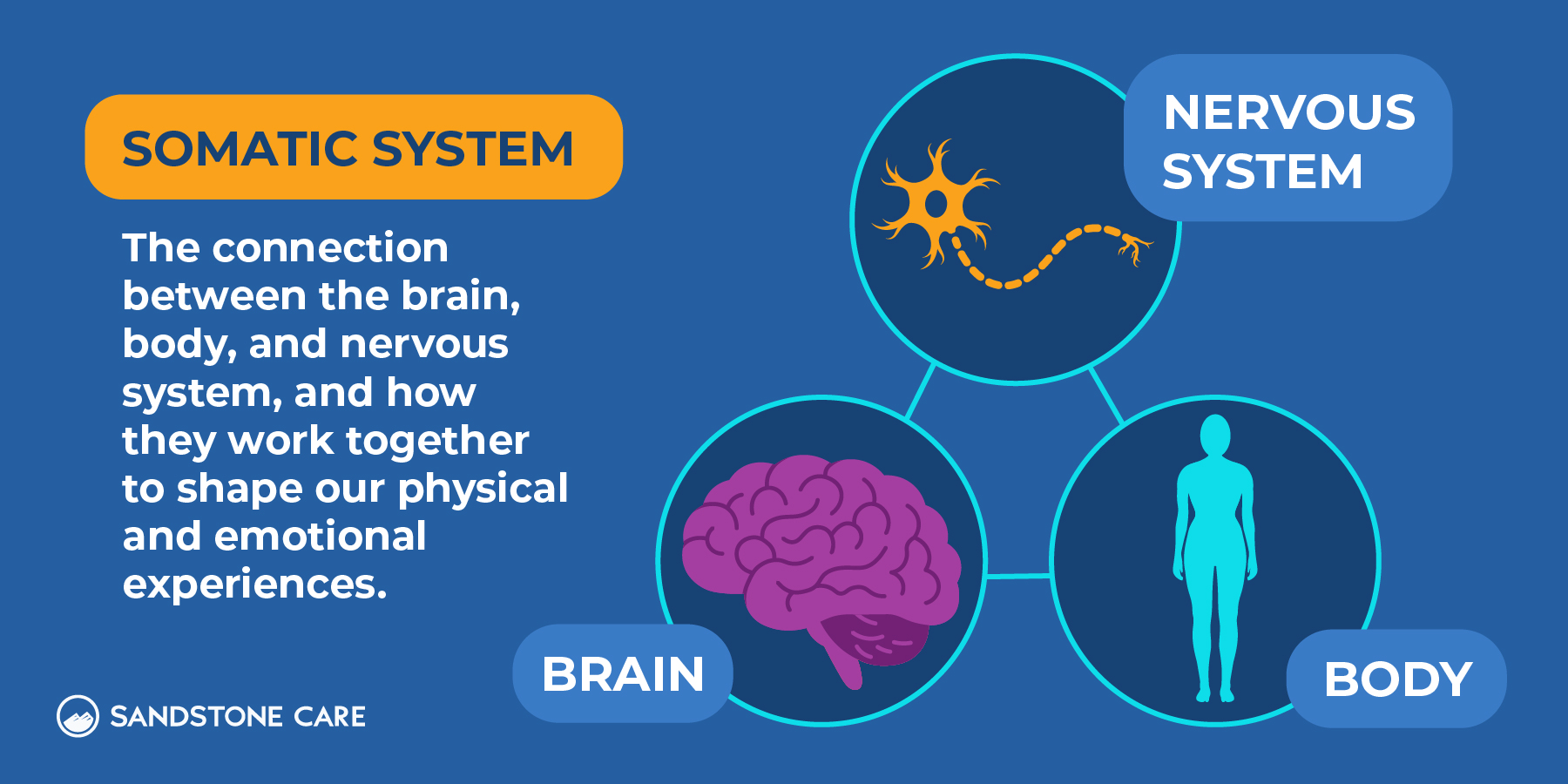 Somatic Therapy Blog V2 Somatic System