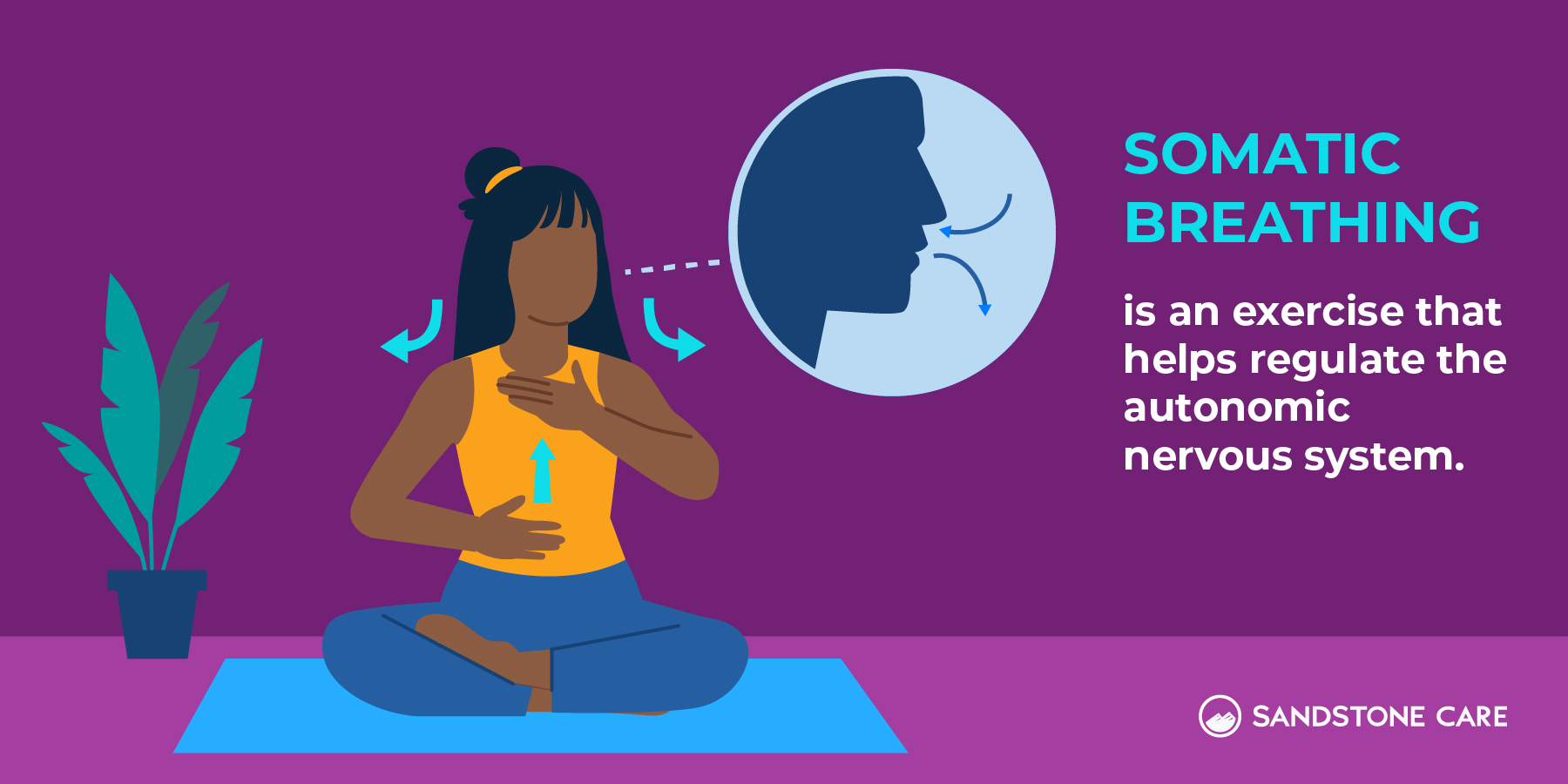 Somatic Therapy Blog V2 Somatic Breathing