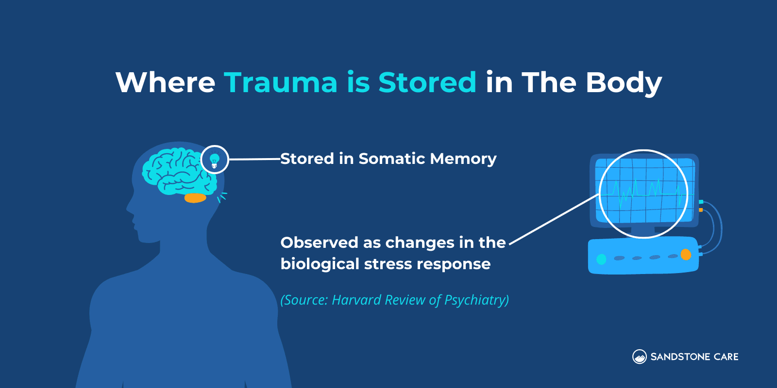 Where Trauma is stored in the body infographic