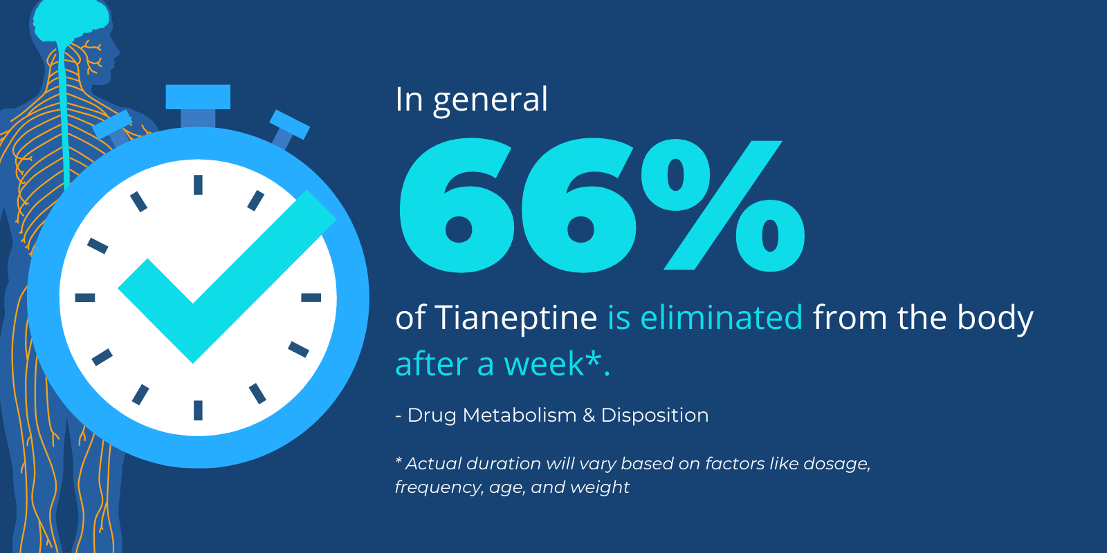 How long does Tianeptine last in the body infographic