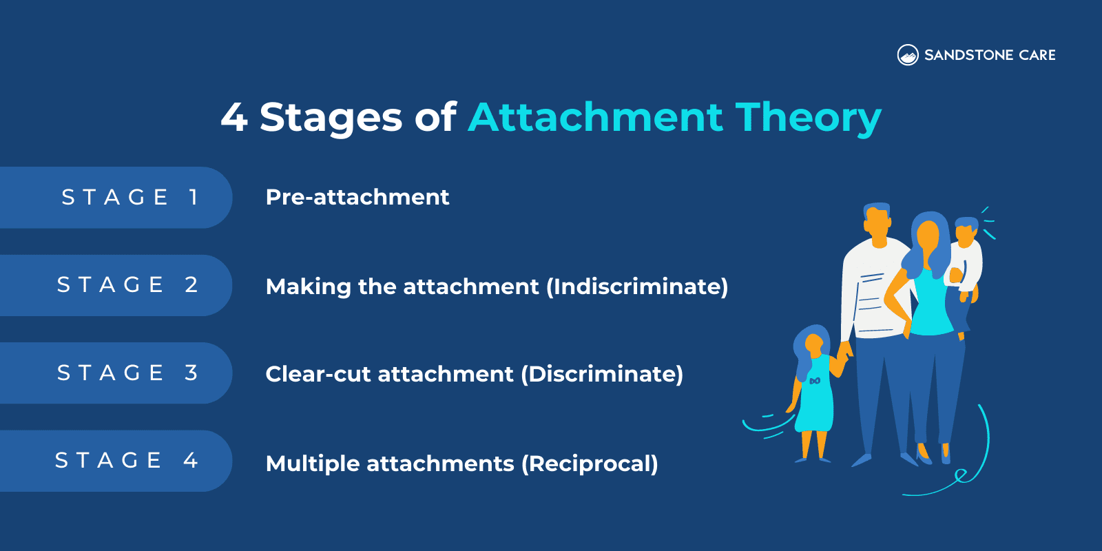 What is Attachment Theory? Bowlby's 4 Stages Explained