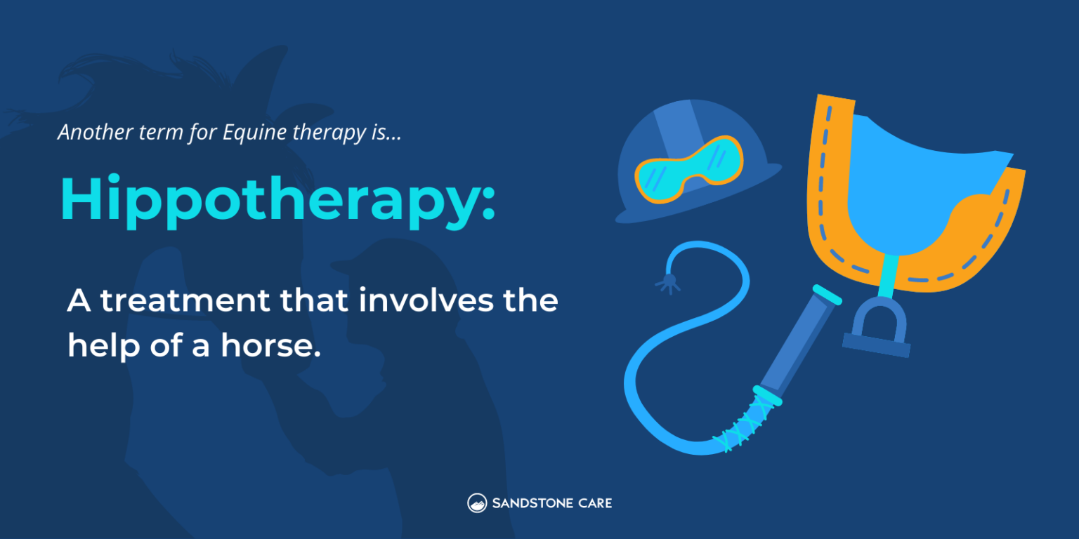 Equine Therapy 7+ Powerful Ways You'll Unlock Healing Through Horse