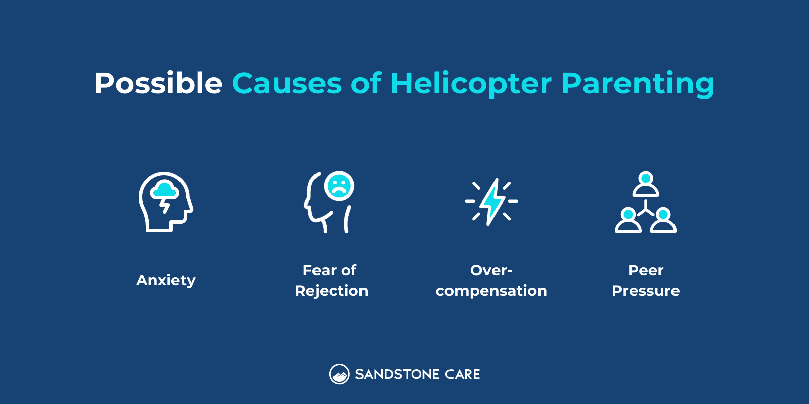 Possible Causes of Helicopter Parenting Infographic