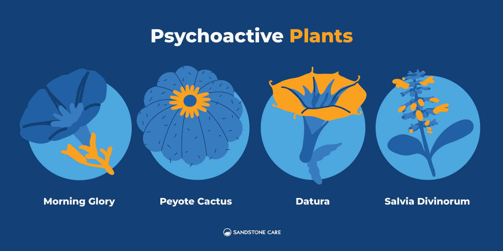 09 Psychoactive Plants Inline Image