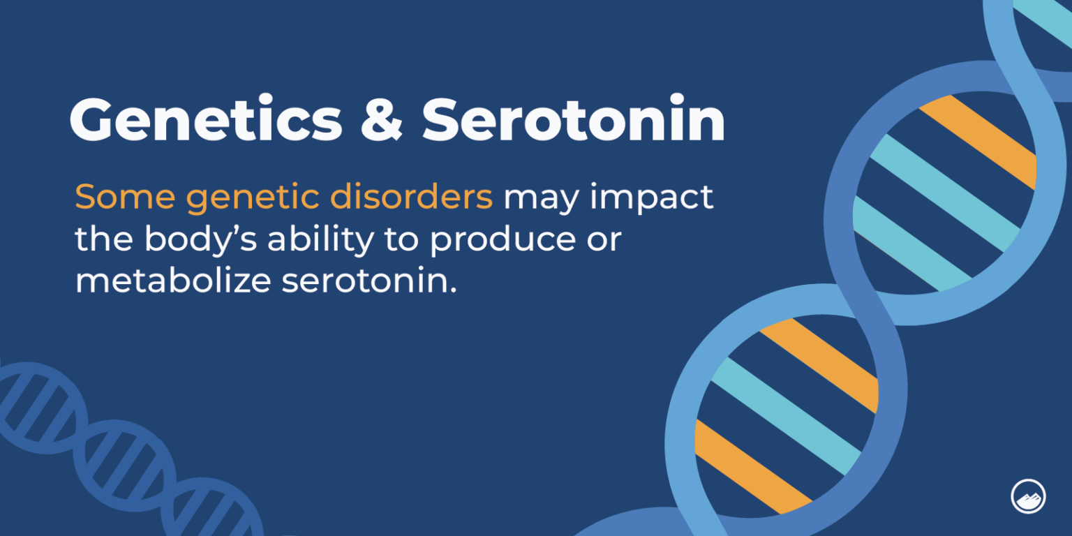 How to Increase Serotonin Your Ultimate Guide to Boosting Serotonin