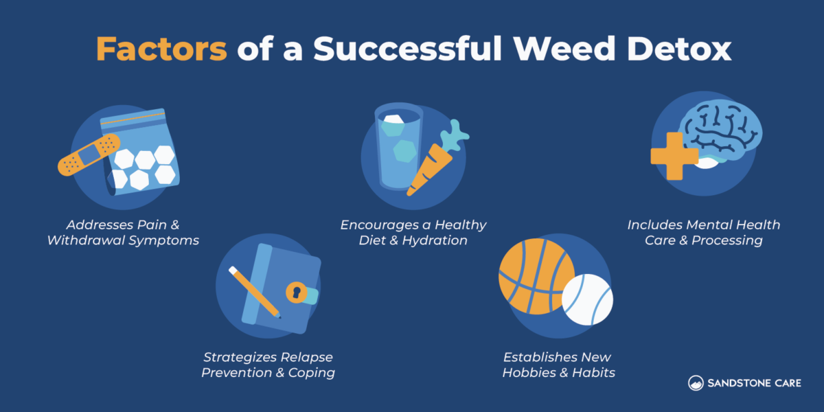Detoxing from Weed How to Recover from Marijuana Use