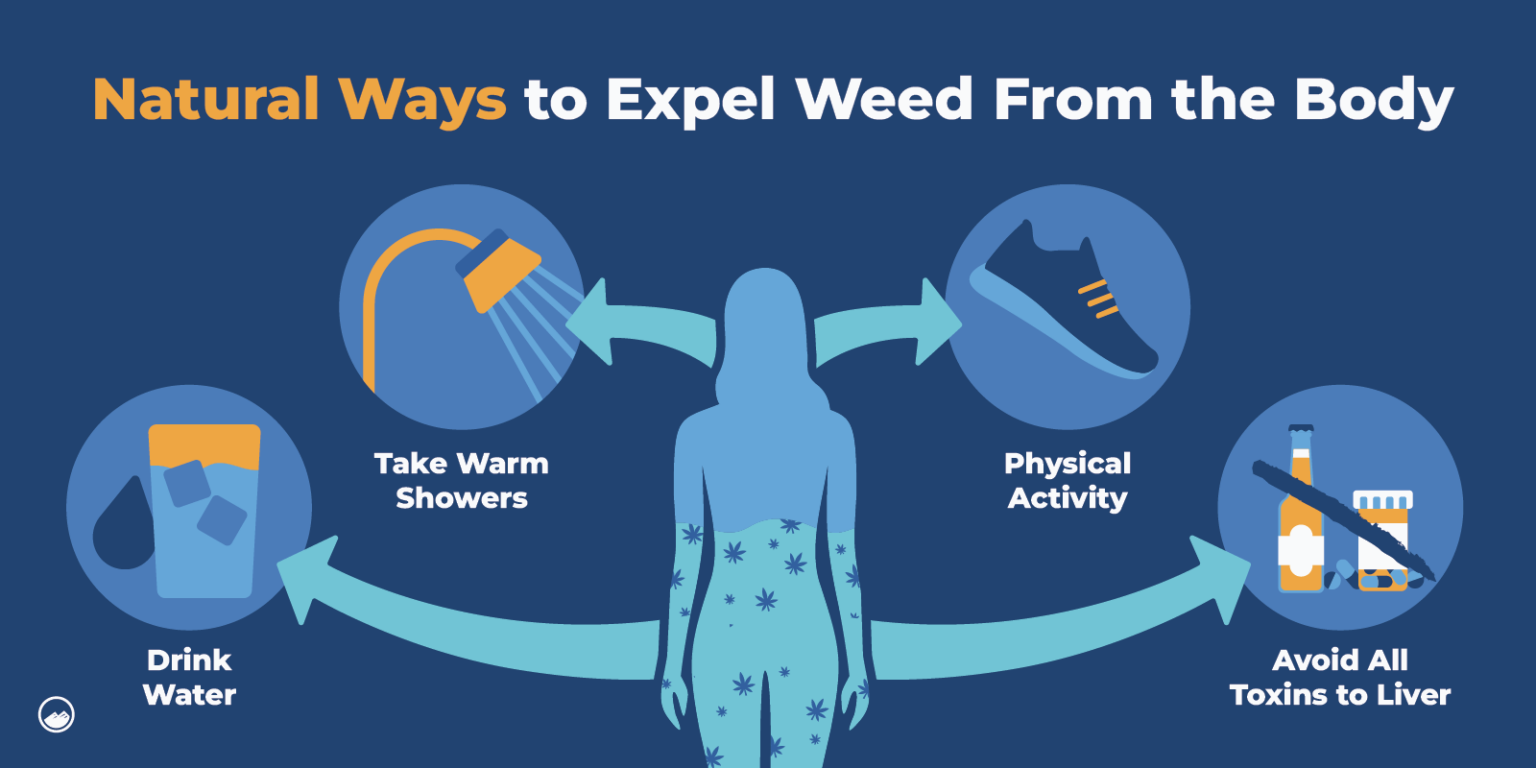 Detoxing from Weed How to Recover from Marijuana Use