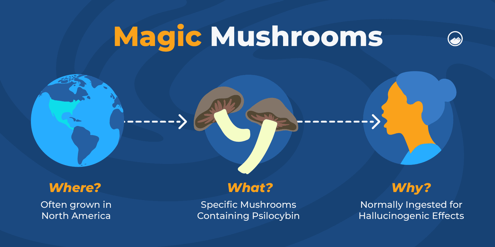 Magic Mushrooms Graphics_01 What Are Magic Mushrooms Inline Image
